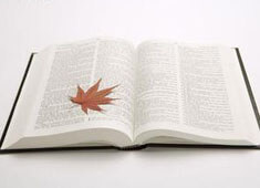 蒙彼利埃主席宣布引进新外援，剑指法甲巅峰！