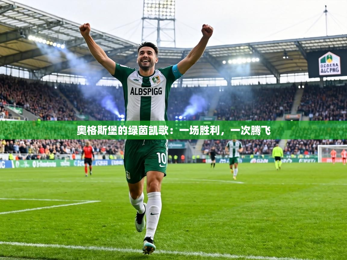 奥格斯堡的绿茵凯歌:一场胜利,一次腾飞 第1张